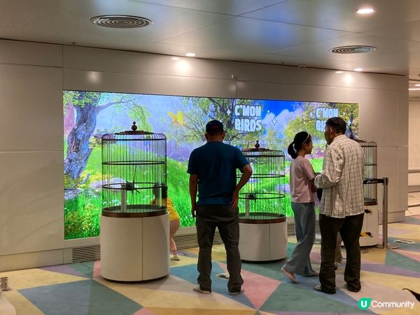 《香港機場-奇妙巨蛋》兒童繩網區