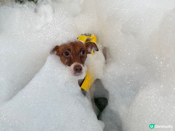 Happy park wave party! 泡 全部都係泡...