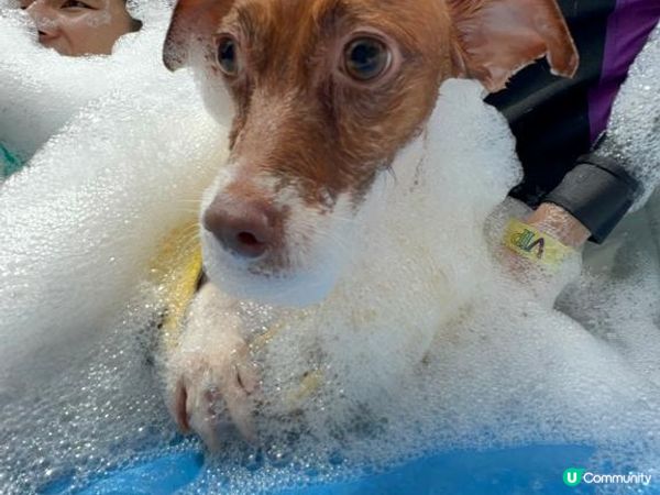 Happy park wave party! 泡 全部都係泡...