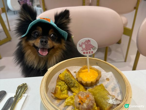 此毛孩最愛吃吃吃跟逛街，天生有一張笑臉，每次都給人一種很開心...