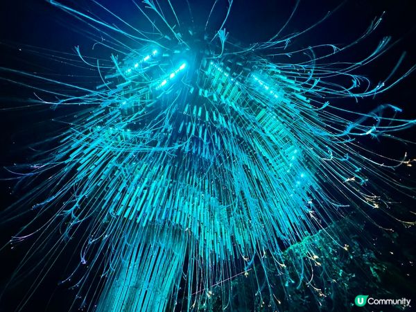 [夕陽之歌?］ 欲窮千里目，更上一層樓！黃昏時分，上到了曼谷...