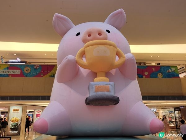 馬鞍山Lulu 豬，真係好可愛嘅打卡位，同豬仔影左好多靚相。...