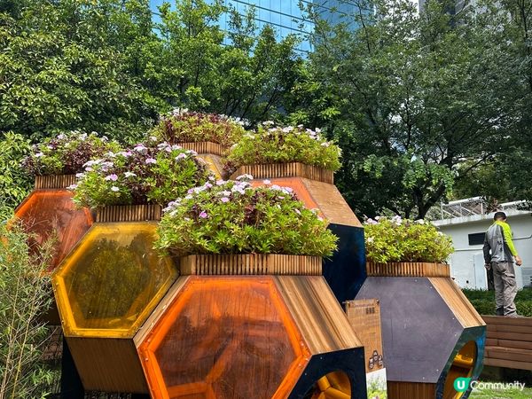 零碳天地 - 既有教育意義又是一個舒適的城市綠洲
