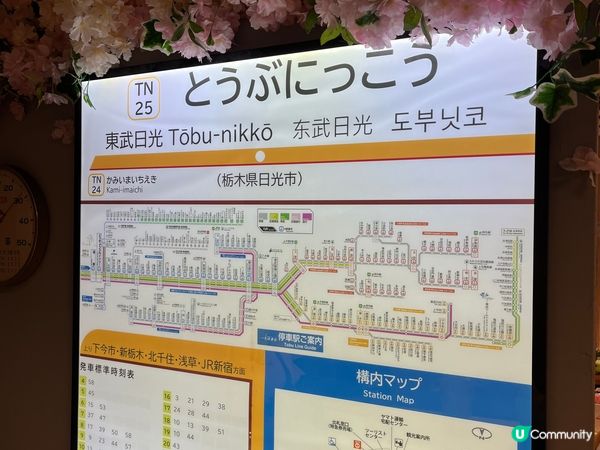 荃灣日光時刻。榻榻米和室、日式庭園場境。榻榻米和室仲要set...