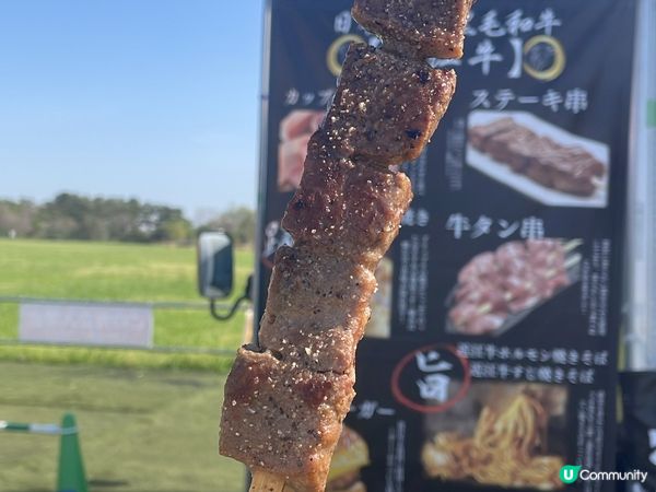 呢到係大阪舞洲海濱公園，約100萬株小巧玲瓏的粉蝶花沿著海濱...