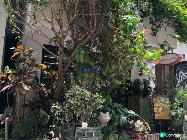 深圳南頭古城有很多打卡位及食肆，還有文天祥紀念館，大家可以到...