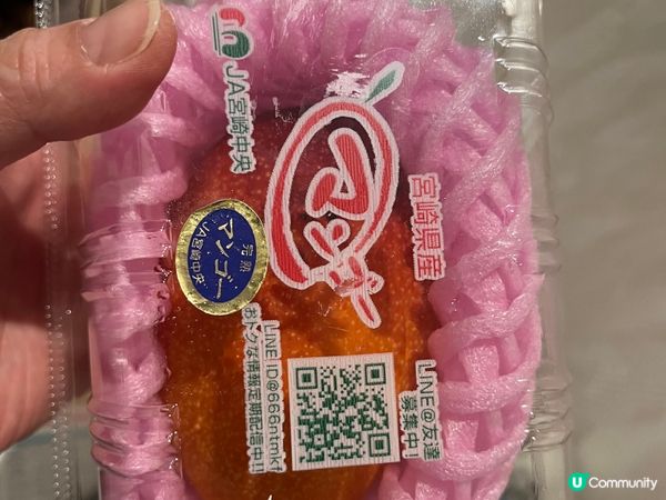 在日本旅行時吃到的美食！樣樣都好好味！就算是街頭小食都好正！...