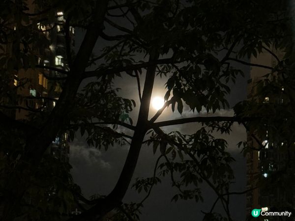 立秋後的日與夜，月亮高高掛，每當食起冬甩時，也份外有回憶！