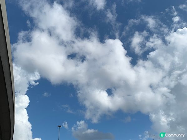 立秋後的日與夜，月亮高高掛，每當食起冬甩時，也份外有回憶！