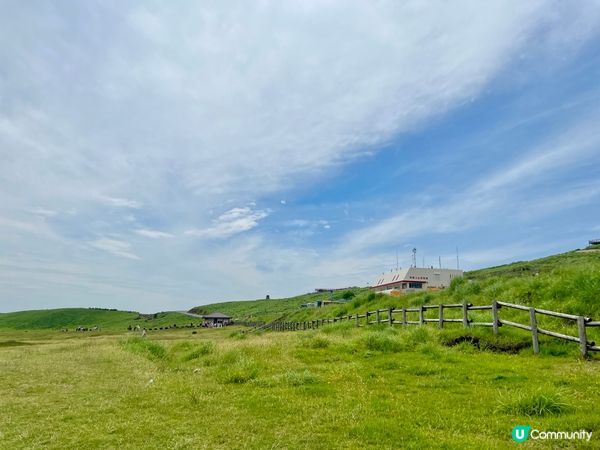 熊本必去！阿蘇山⛰️草原治癒之旅