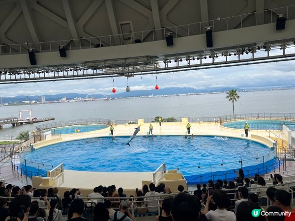福岡水族館🐠 親子遊好去處！