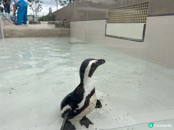 福岡水族館🐠 親子遊好去處！