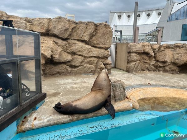 福岡水族館🐠 親子遊好去處！