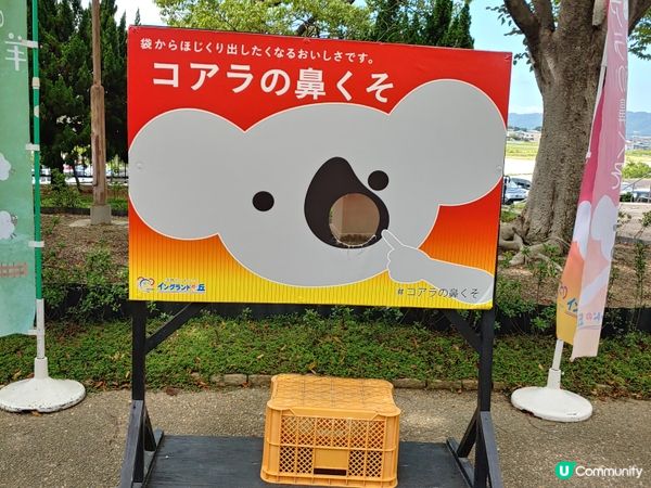 淡路島上的動物園