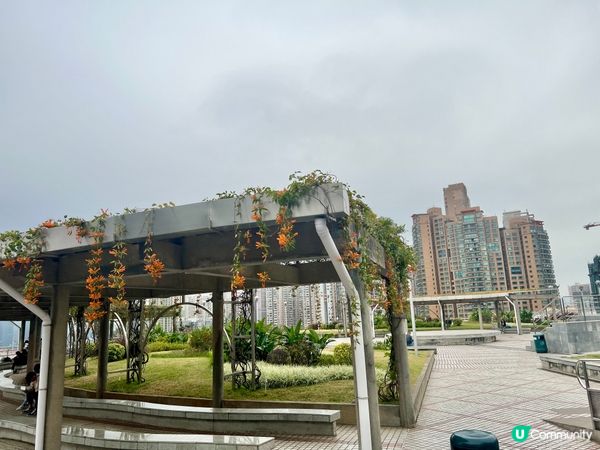 氹仔斜行升降機 🚡免費搭上大潭山⛰️