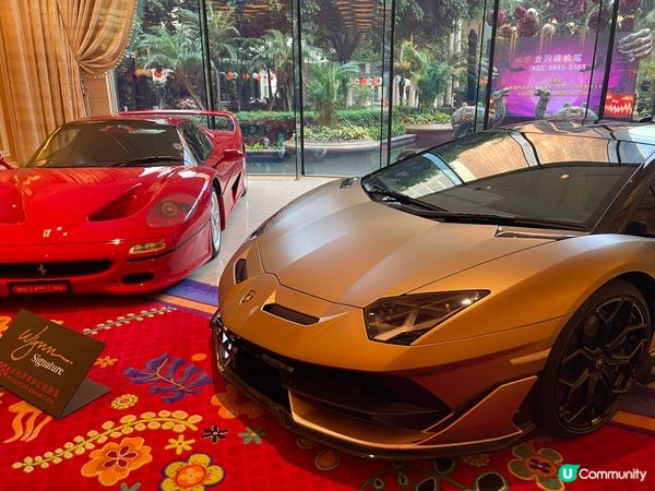 永利皇宮跑車展