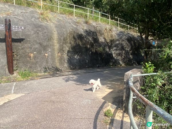 港島新手行山路線：靚景+行文物徑