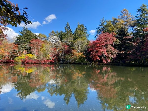 輕井澤紅葉之旅😍夢幻的雲場池🍁