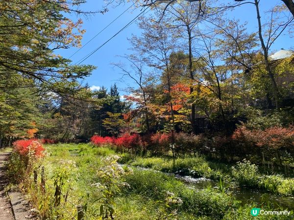 輕井澤紅葉之旅😍夢幻的雲場池🍁