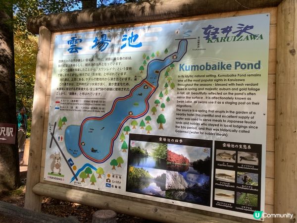 輕井澤紅葉之旅😍夢幻的雲場池🍁