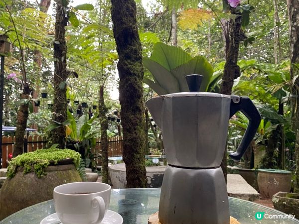 ## 檳城山頂森林隱世咖啡☕️🌳