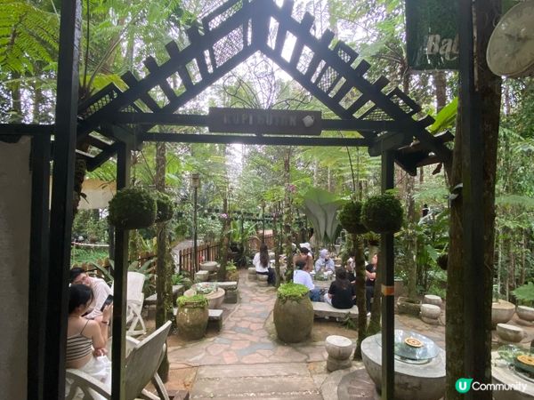 ## 檳城山頂森林隱世咖啡☕️🌳