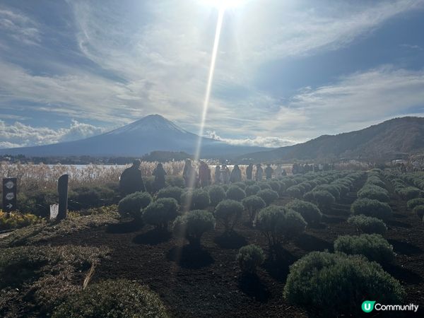 富士山打卡熱點 (5) - 大石公園