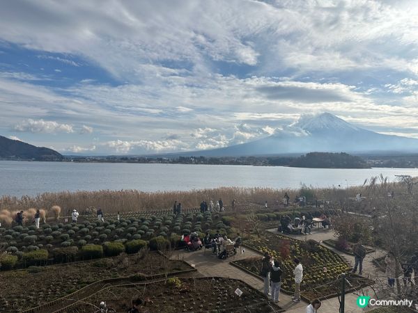 富士山打卡熱點 (5) - 大石公園