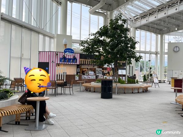 🇯🇵北海道。函館。五稜郭塔及公園｡