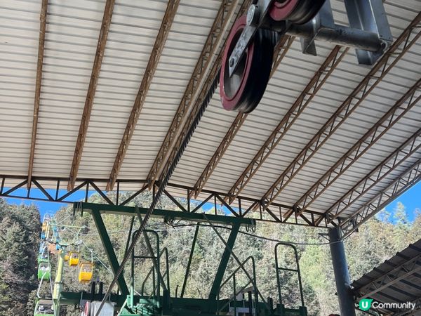 雲南玉龍雪山之旅❄️🏔️