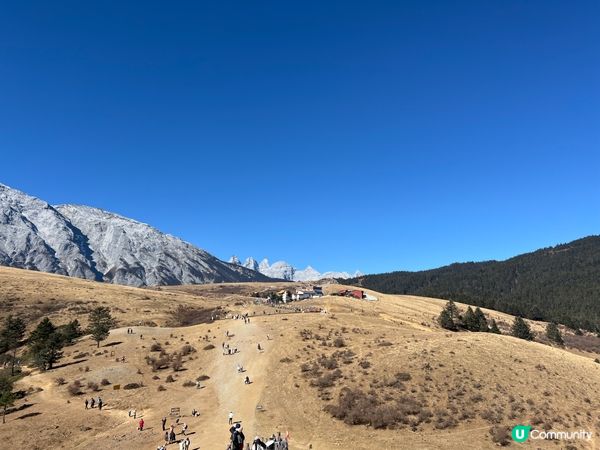雲南玉龍雪山之旅❄️🏔️