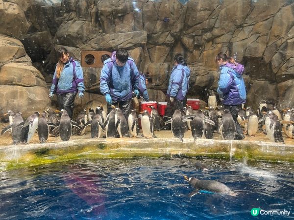 睇餵飼都可以好治癒～ 