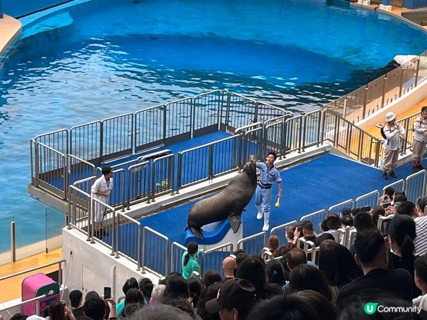 睇餵飼都可以好治癒～ 