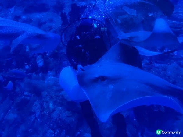 睇餵飼都可以好治癒～ 