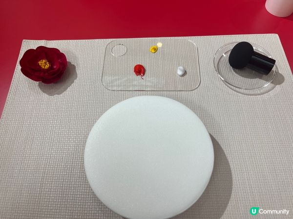 SHISEIDO 山茶花擴香石彩繪作品