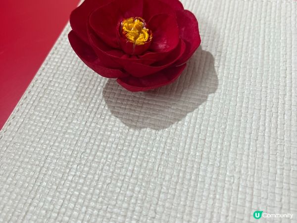 SHISEIDO 山茶花擴香石彩繪作品