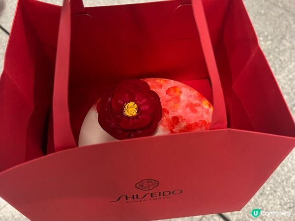 SHISEIDO 山茶花擴香石彩繪作品