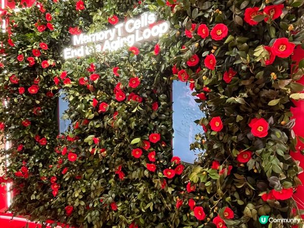 SHISEIDO 山茶花擴香石彩繪作品