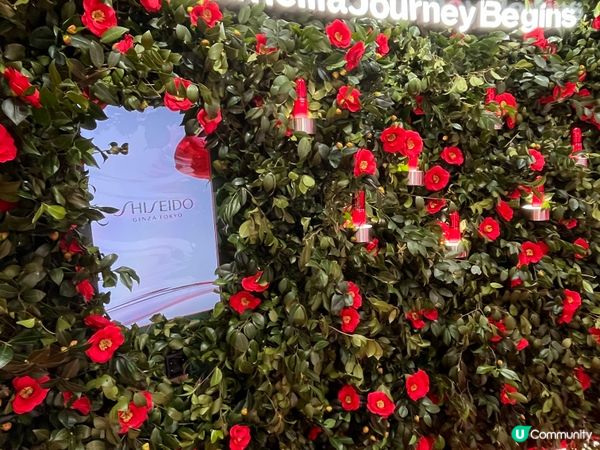 SHISEIDO 山茶花擴香石彩繪作品