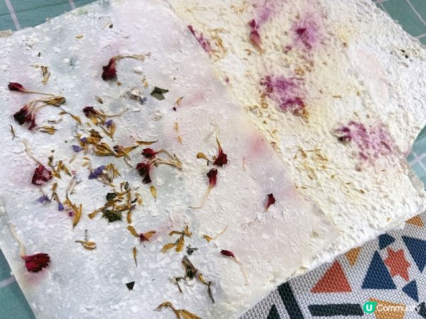 古法非遺造紙DIY❤️ @ Justbe 馬灣1868