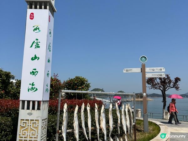 廬山西海 ~ 中國最美湖光山色 #好去處#chill#隱世打...