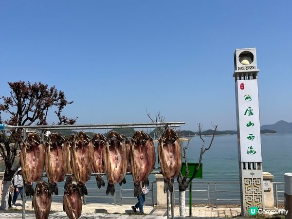 廬山西海 ~ 中國最美湖光山色 #好去處#chill#隱世打...