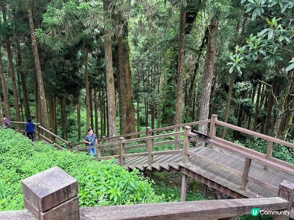 #踏入KOOZA奇幻之旅  #我想帶走成箱FULLBODY