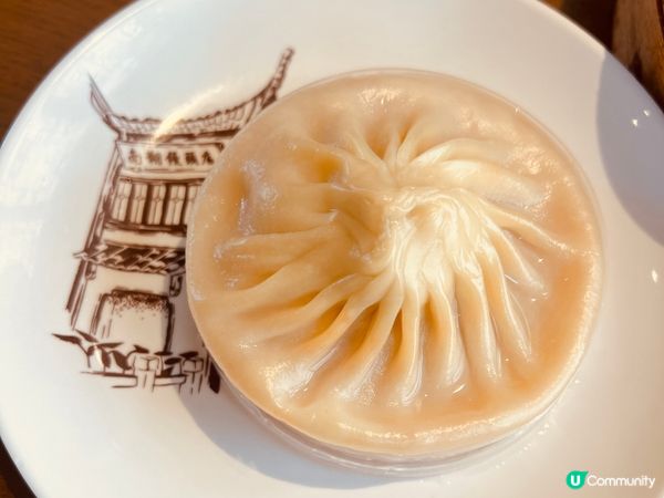 人生食過最好食嘅小籠包