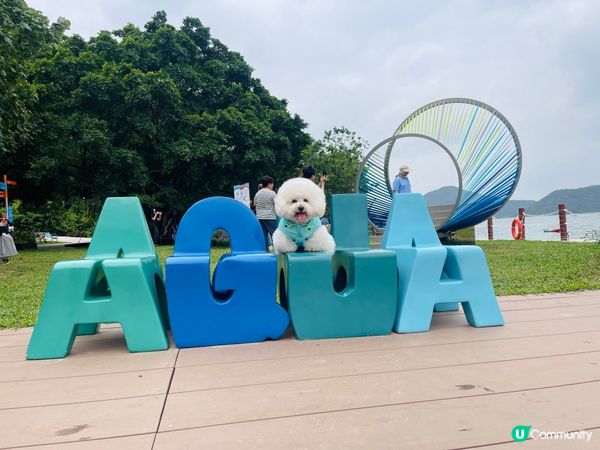 夏水炎炎緊係玩水啦