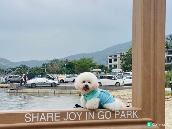 夏水炎炎緊係玩水啦