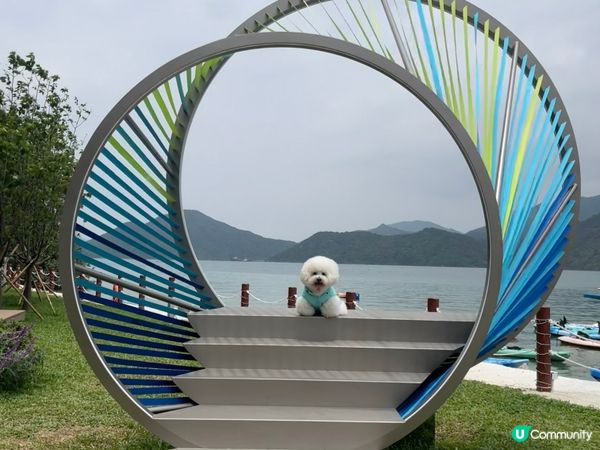 夏水炎炎緊係玩水啦