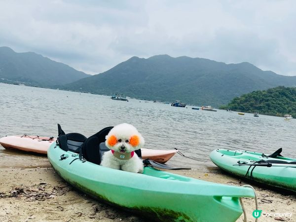 夏水炎炎緊係玩水啦