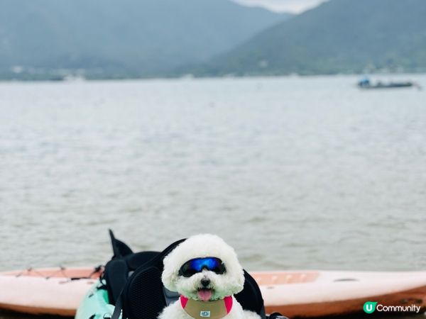 夏水炎炎緊係玩水啦