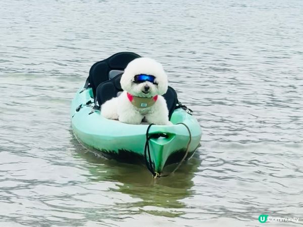 夏水炎炎緊係玩水啦